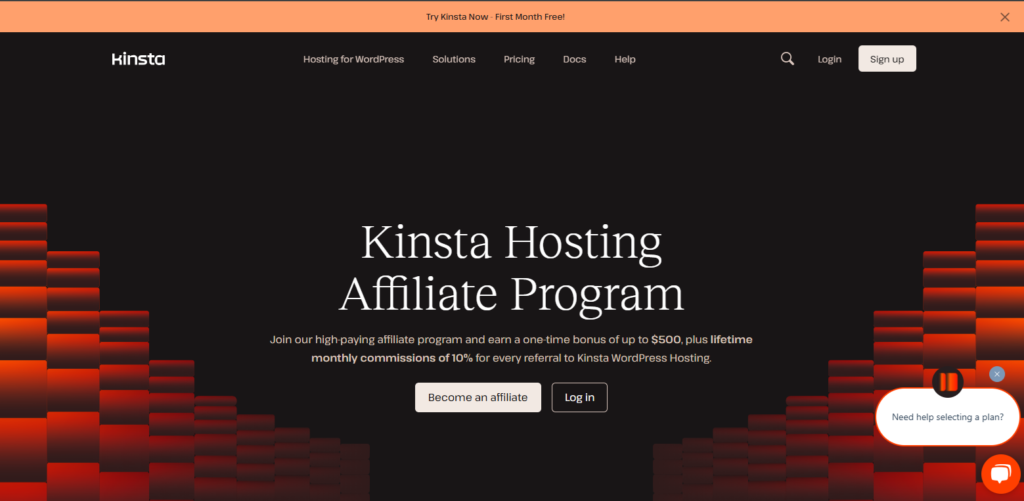 A screenshot of kinsta website